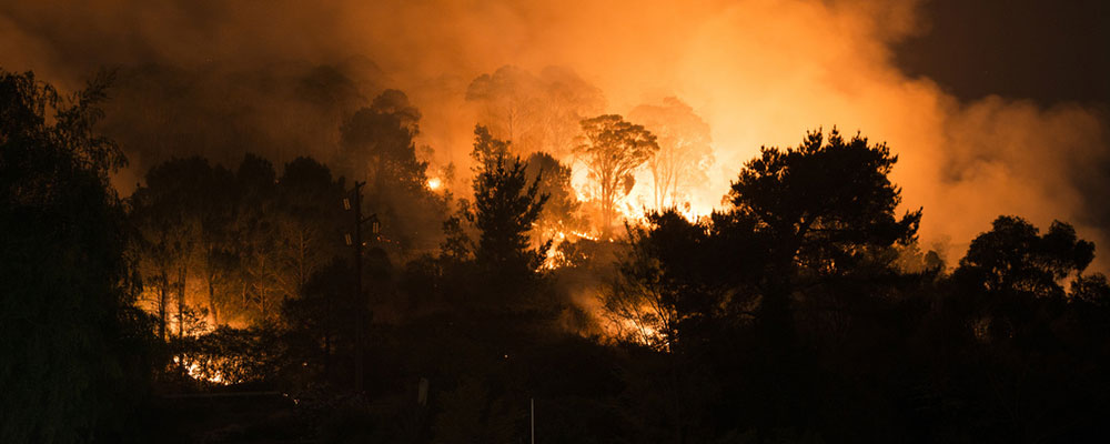 PNP Golf and the Australian Bushfires
