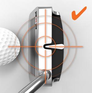 Top view of SiteLine Putter and Chipper Combo by PnP Golf. Stainless steel putter head with alignment target and golf ball